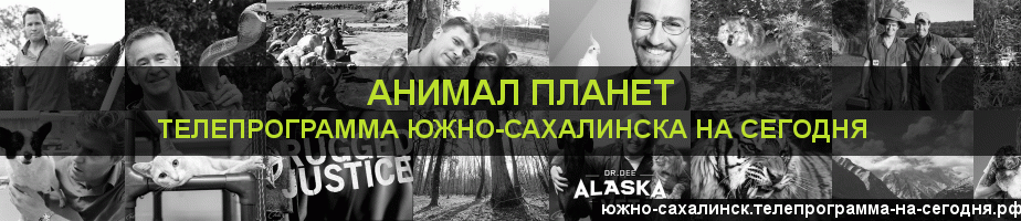 Телепрограмма на сегодня канала Анимал Планет, Южно-Сахалинск