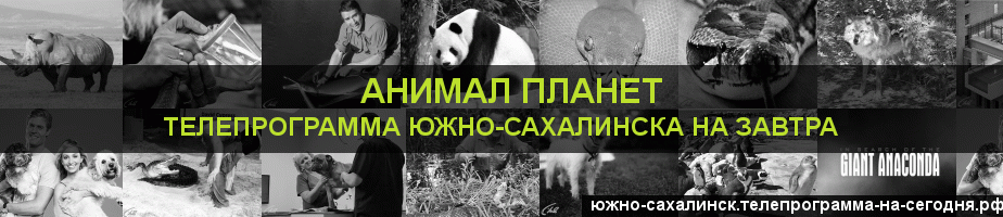Телепрограмма на завтра канала Анимал Планет, Южно-Сахалинск